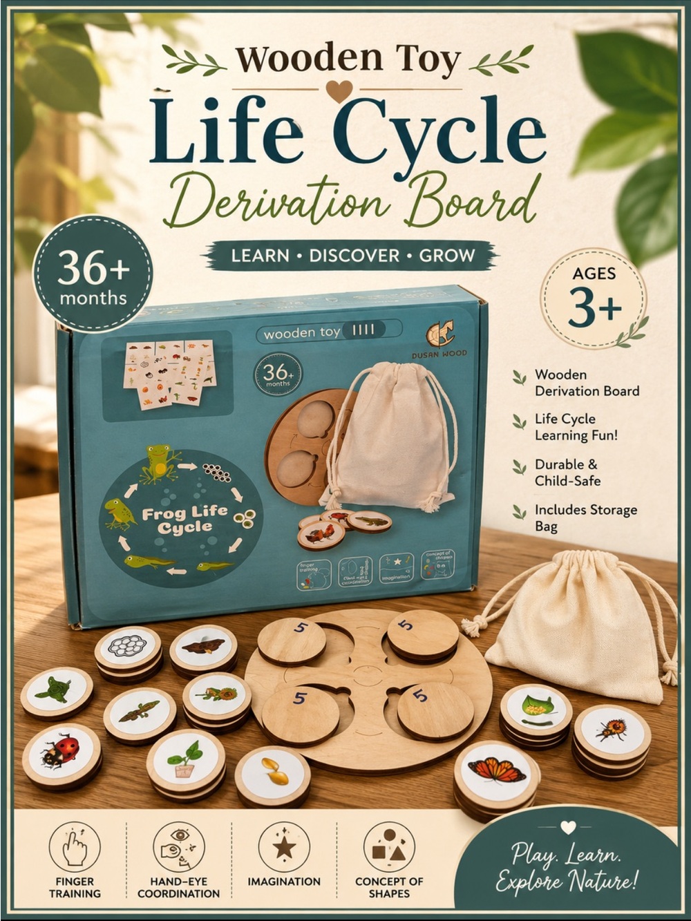 Wooden Life Cycle Derivation Board - Frog Life Cycle -